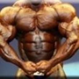 Strength and Bulk Steroid Cycle