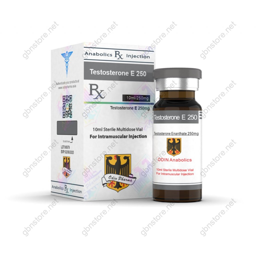 Testosterone E 250 Odin Pharma Testosterone E 250 Odin Pharma