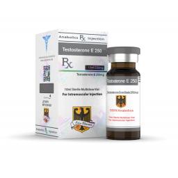 Testosterone E 250 Odin Pharma