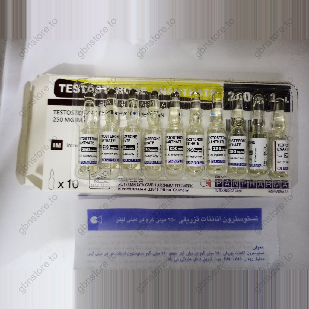Testosterone Enanthate (amps) PanPharma Testosterone Enanthate (amps) PanPharma