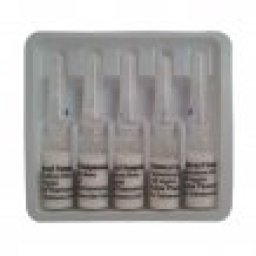 Testoxyl Suspension 100 Kalpa Pharmaceuticals LTD, India